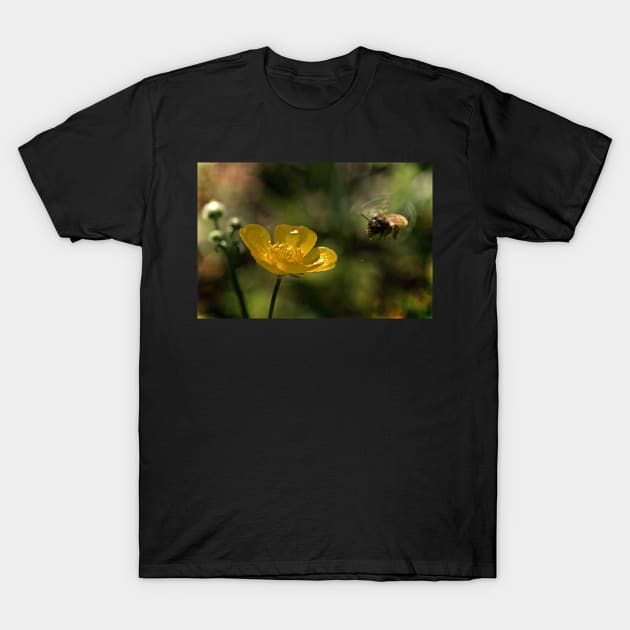 HUMDINGER OF LIFE T-Shirt by dumbodancer